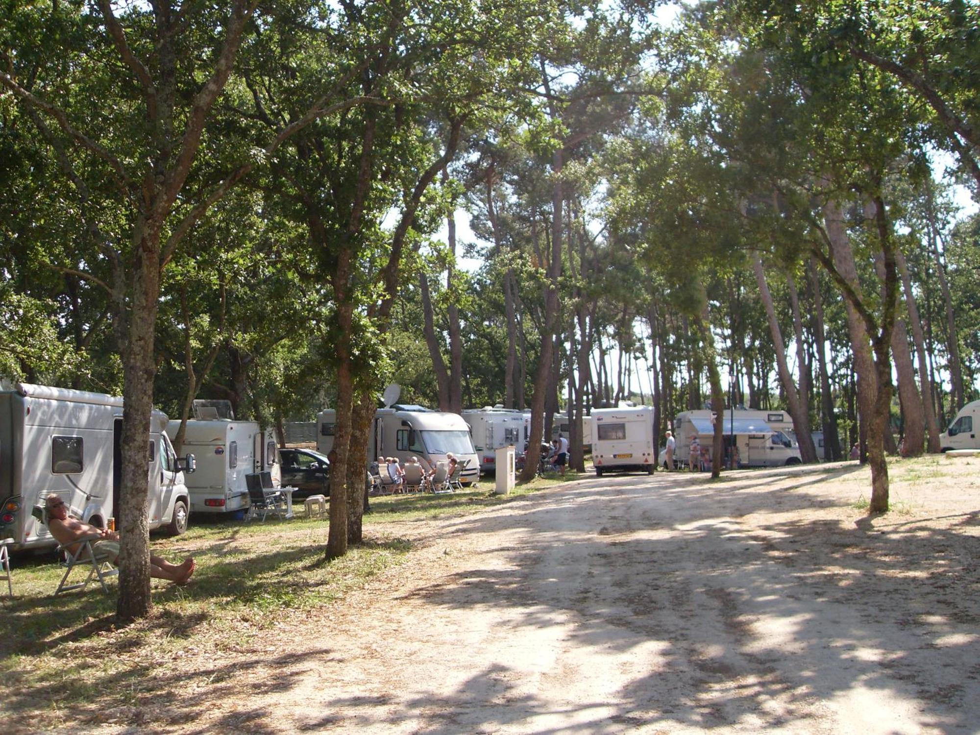 Villaggio Camping Bosco Selva อัลเบโรเบลโล ภายนอก รูปภาพ