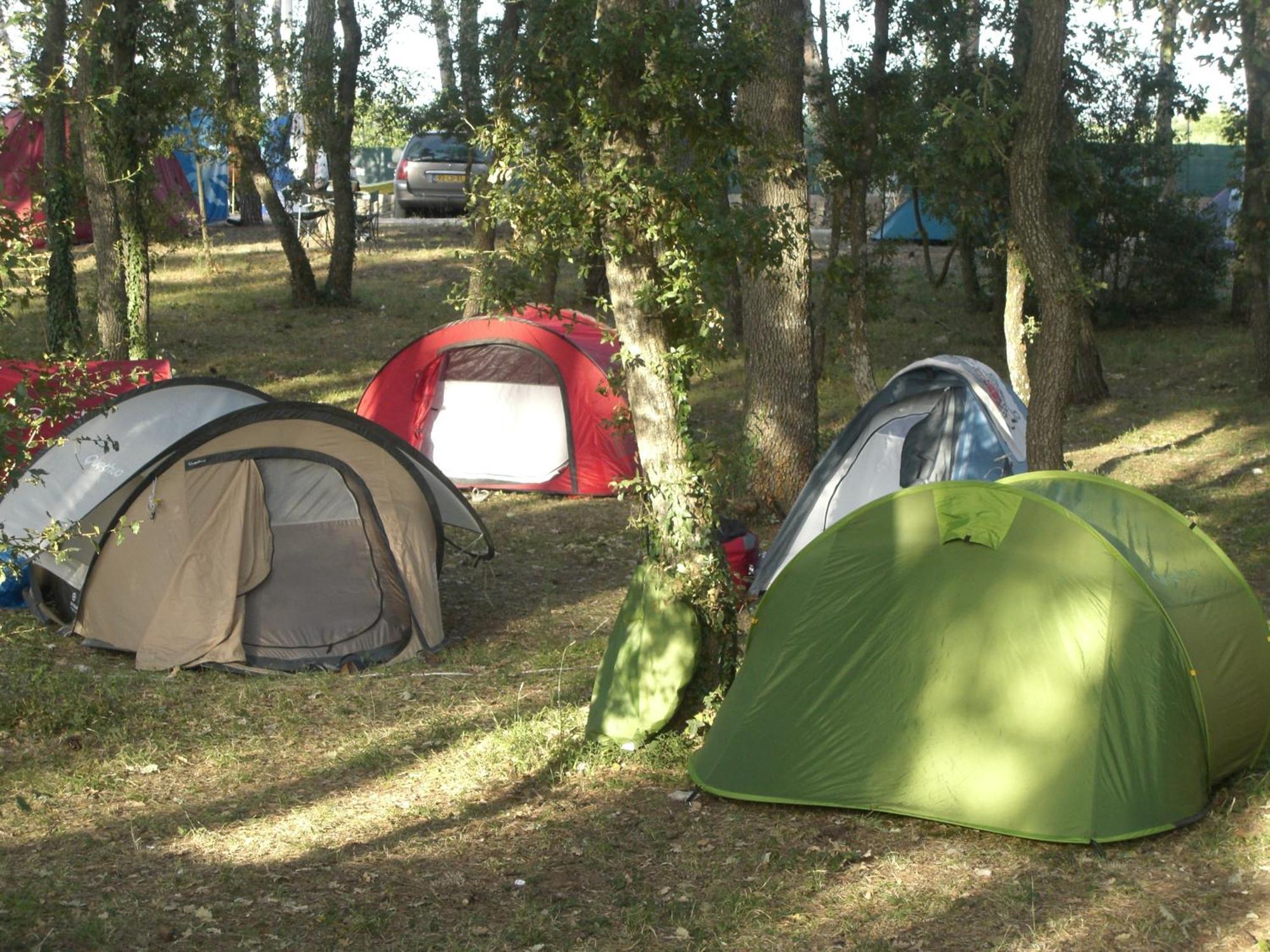 Villaggio Camping Bosco Selva อัลเบโรเบลโล ภายนอก รูปภาพ