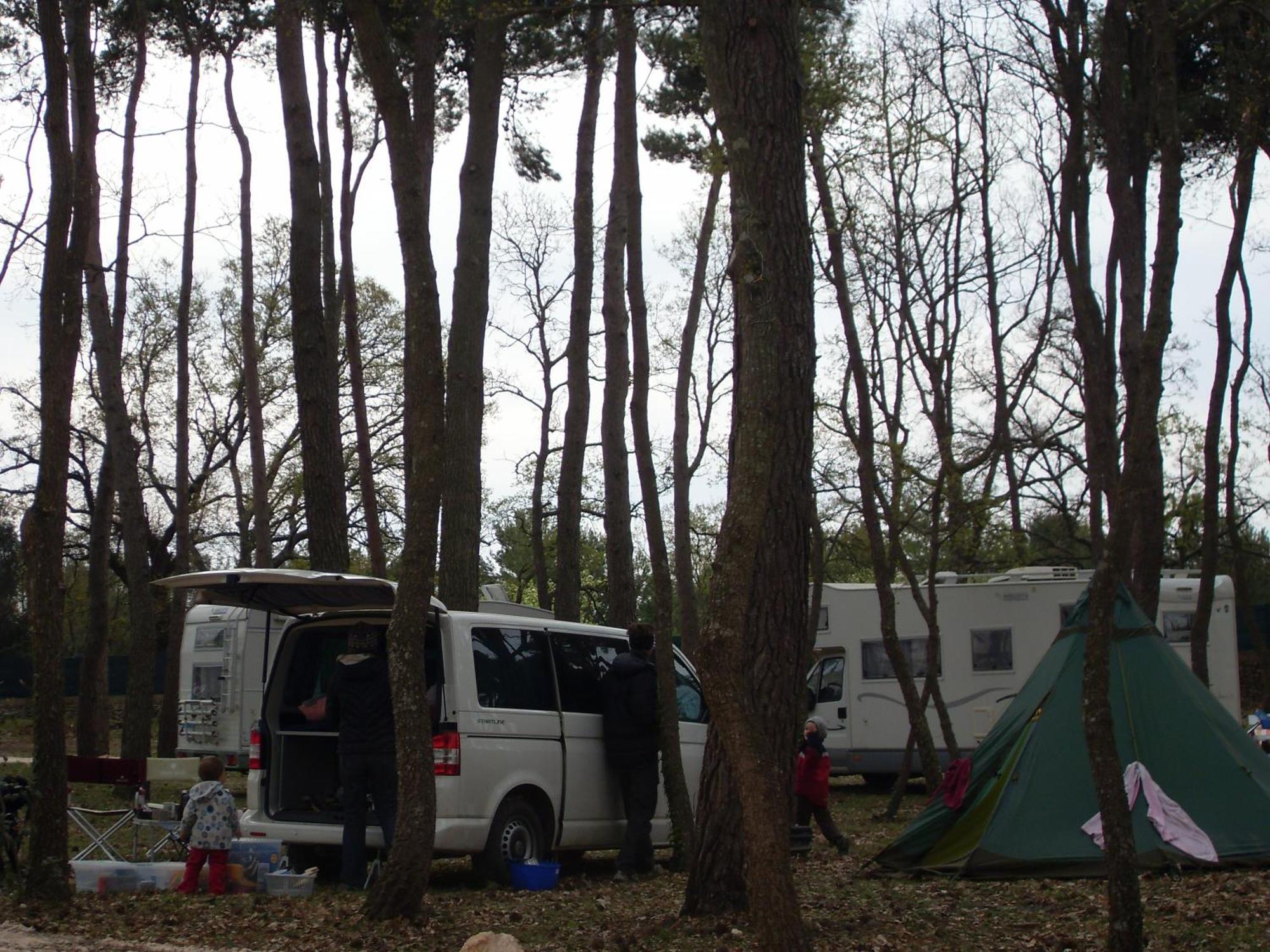 Villaggio Camping Bosco Selva อัลเบโรเบลโล ภายนอก รูปภาพ