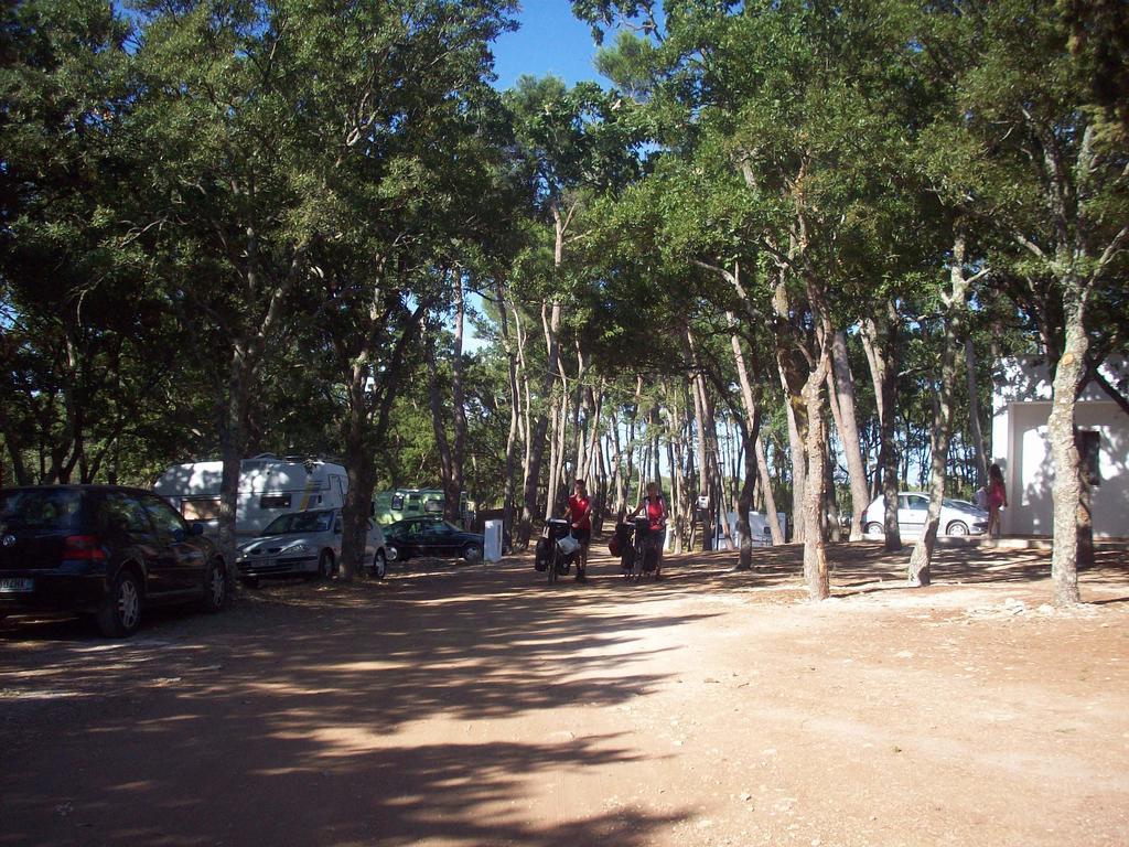 Villaggio Camping Bosco Selva อัลเบโรเบลโล ภายนอก รูปภาพ