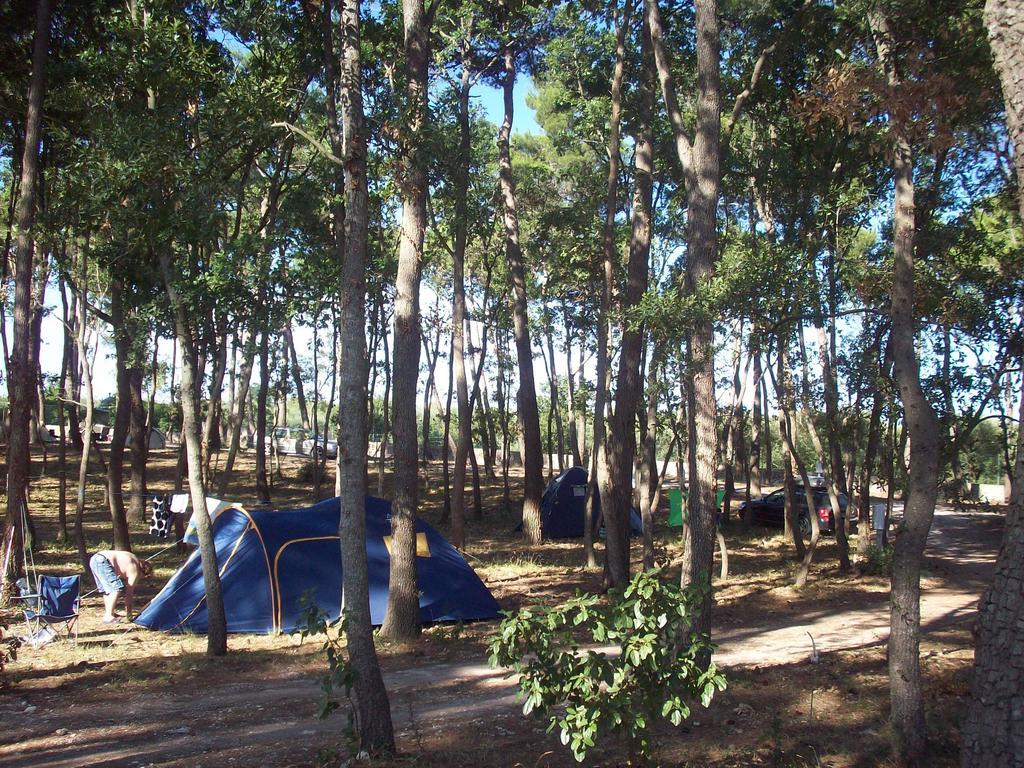 Villaggio Camping Bosco Selva อัลเบโรเบลโล ภายนอก รูปภาพ