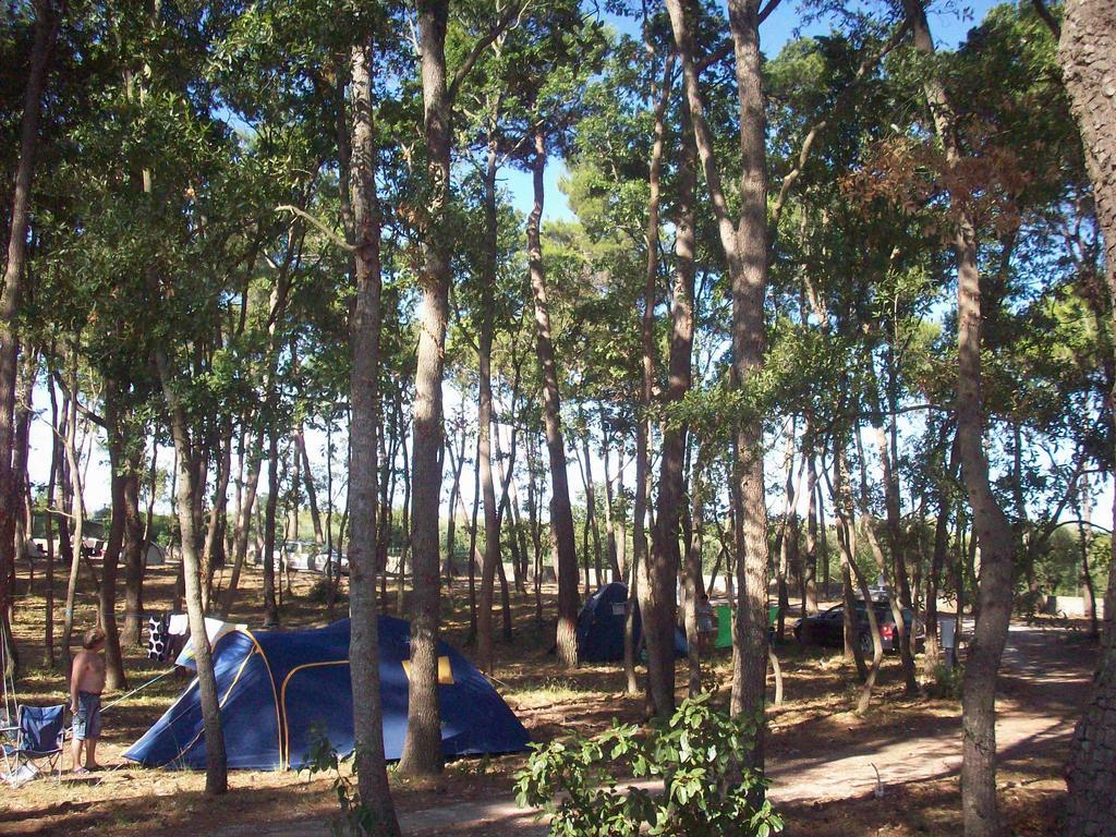 Villaggio Camping Bosco Selva อัลเบโรเบลโล ภายนอก รูปภาพ