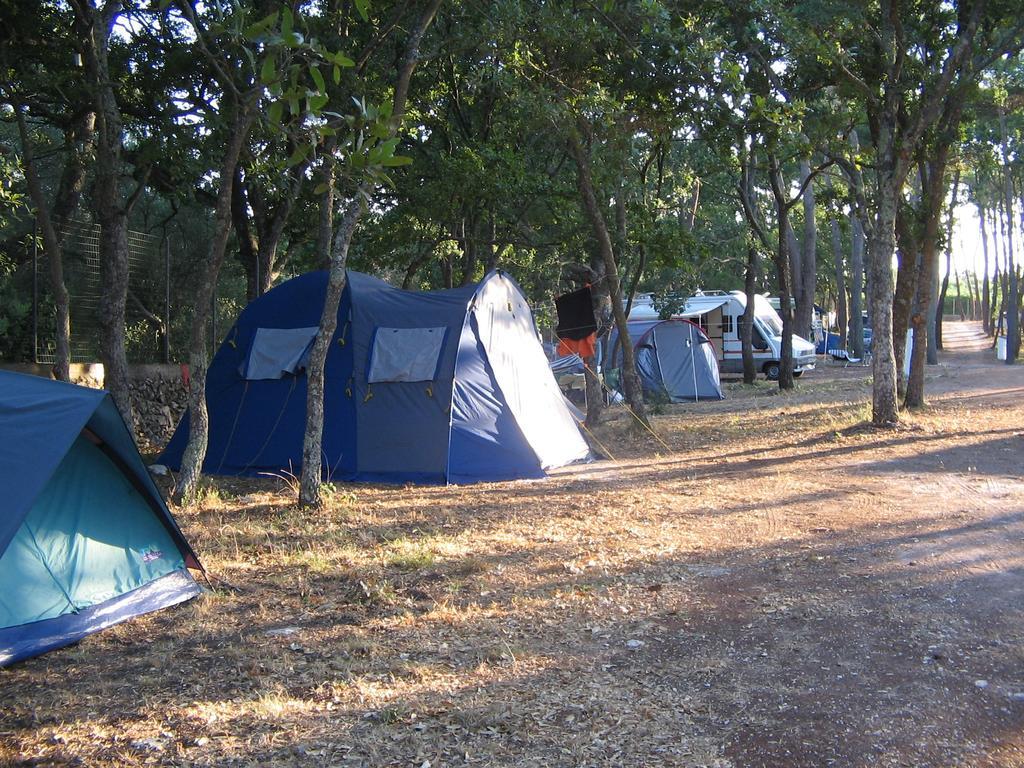 Villaggio Camping Bosco Selva อัลเบโรเบลโล ภายนอก รูปภาพ