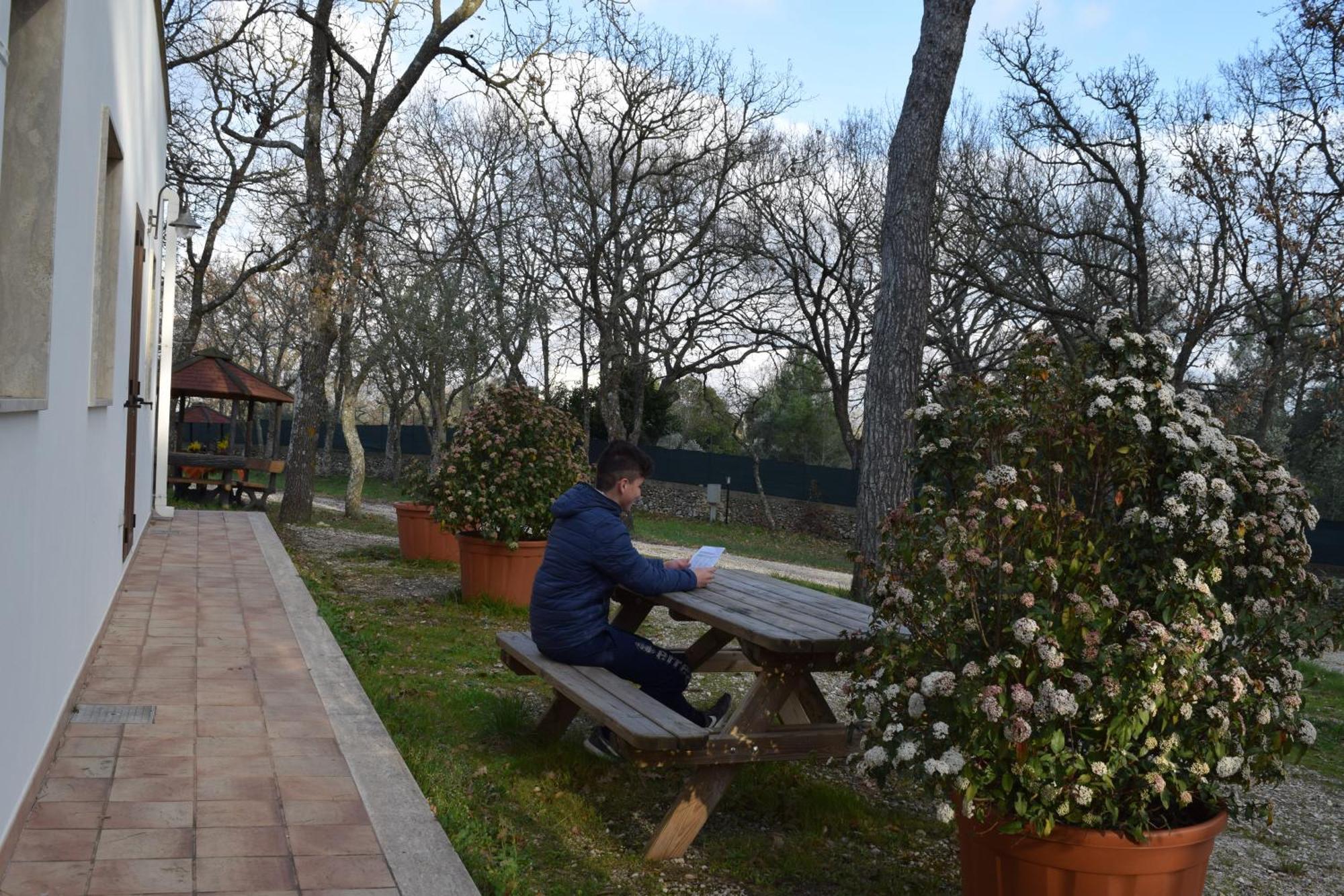 Villaggio Camping Bosco Selva อัลเบโรเบลโล ภายนอก รูปภาพ