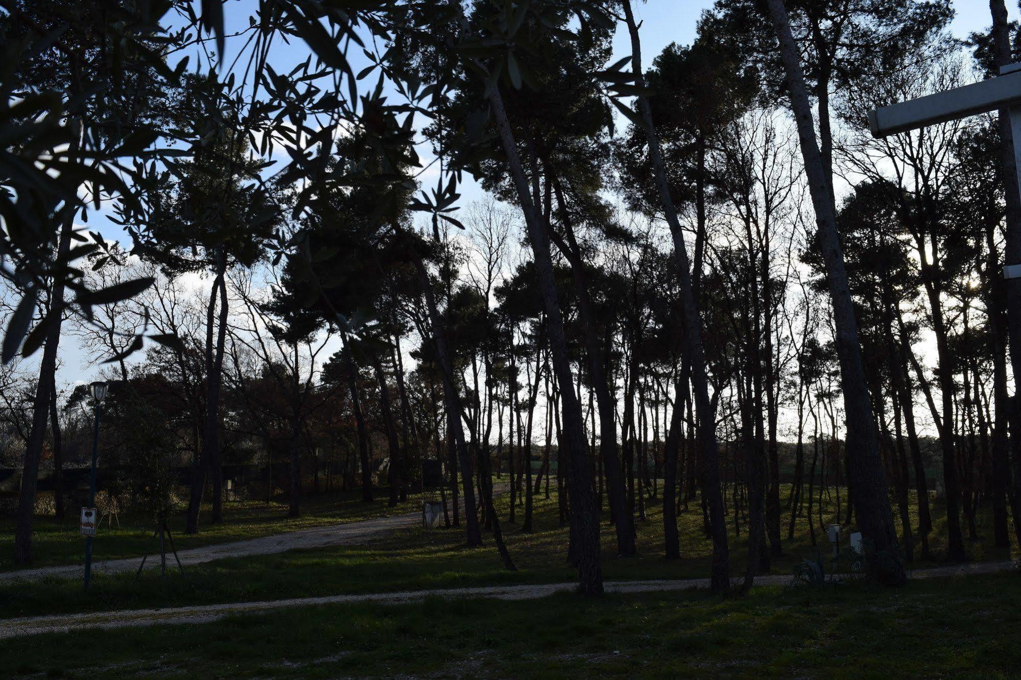 Villaggio Camping Bosco Selva อัลเบโรเบลโล ภายนอก รูปภาพ